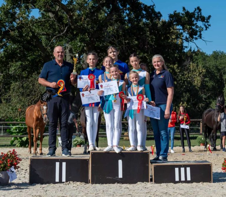 experienta profesionalism bg